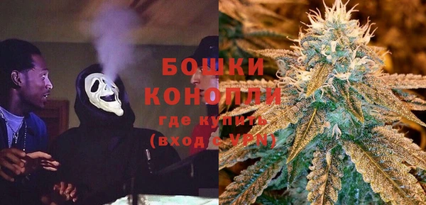 шишки Баксан