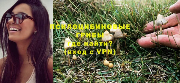 шишки Баксан