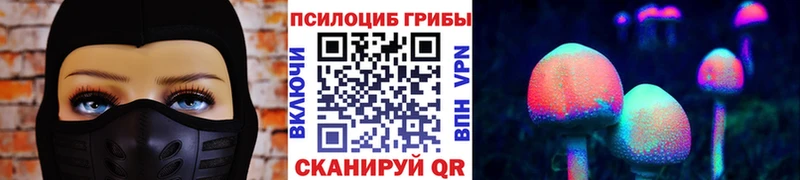 Псилоцибиновые грибы Psilocybine cubensis даркнет сайт Олонец
